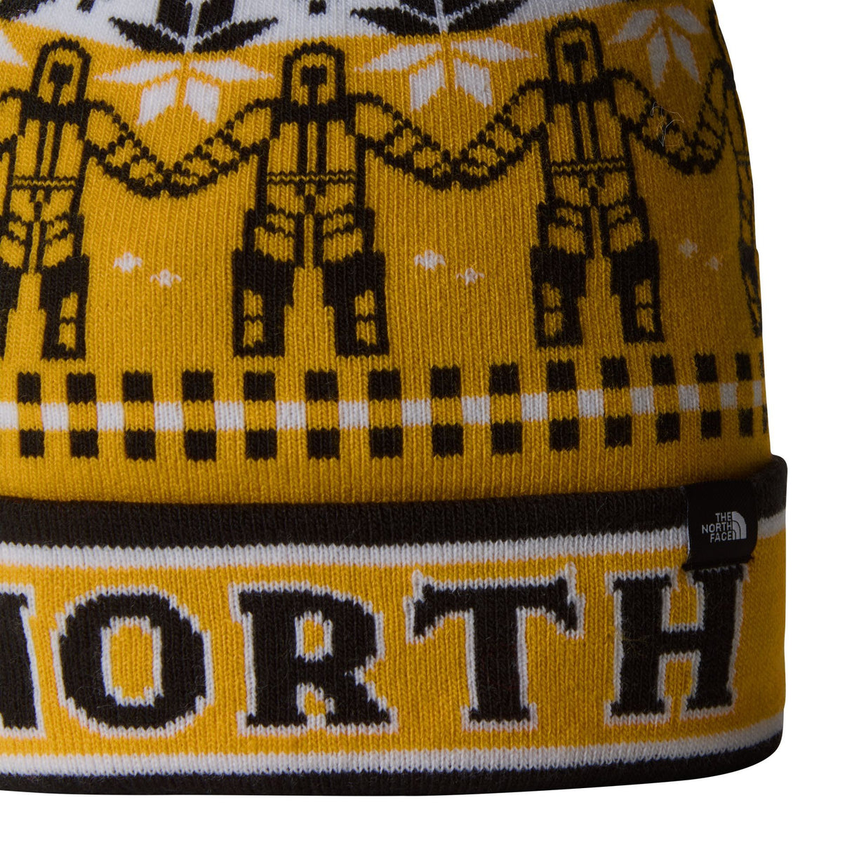 Caciula The North Face Ski Tuke