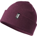 Caciula Unisex Atomic Alps Rolled Cuff Maroon