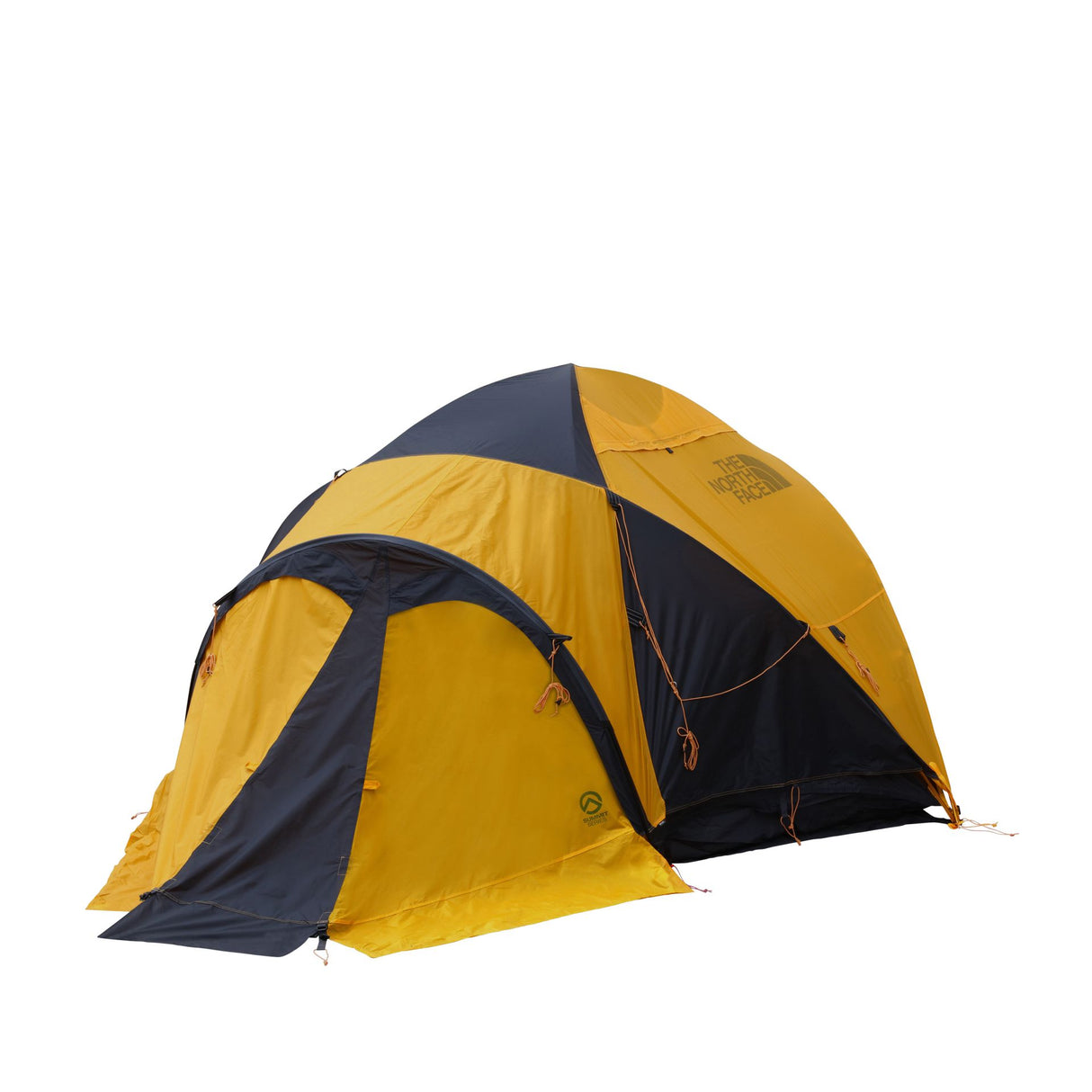 Cort The North Face Ve 25