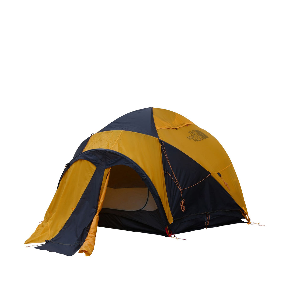 Cort The North Face Ve 25