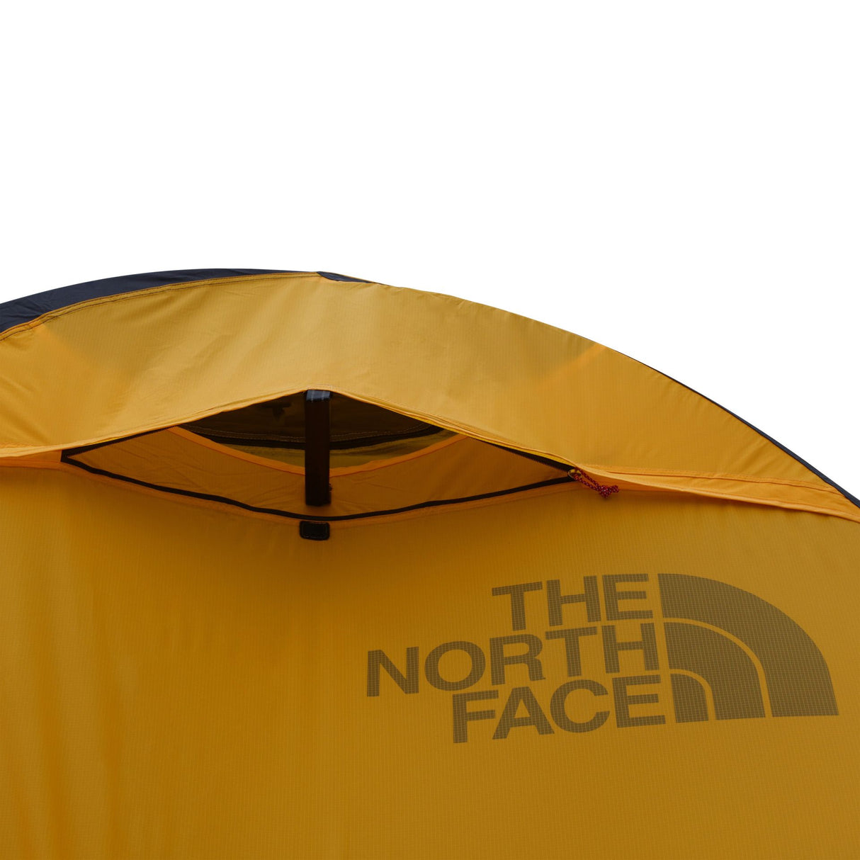 Cort The North Face Ve 25