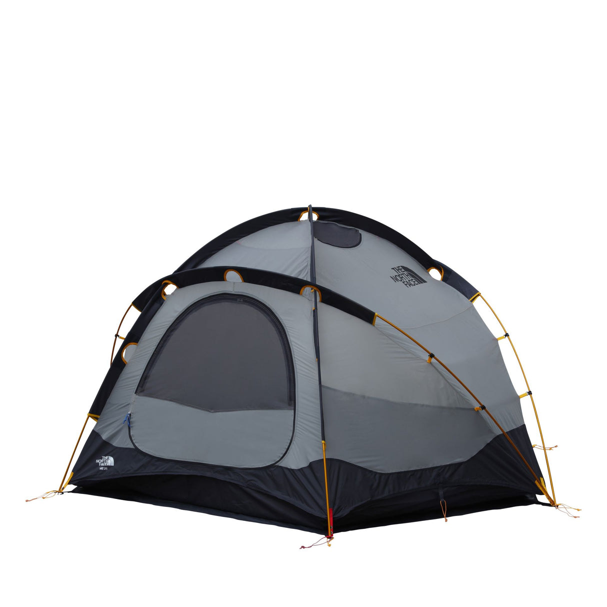 Cort The North Face Ve 25