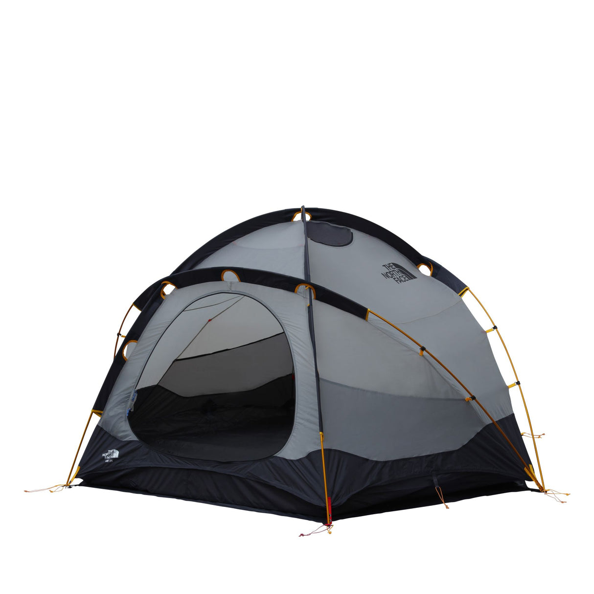 Cort The North Face Ve 25