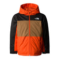 Geaca Baieti The North Face B Freedom Insulated