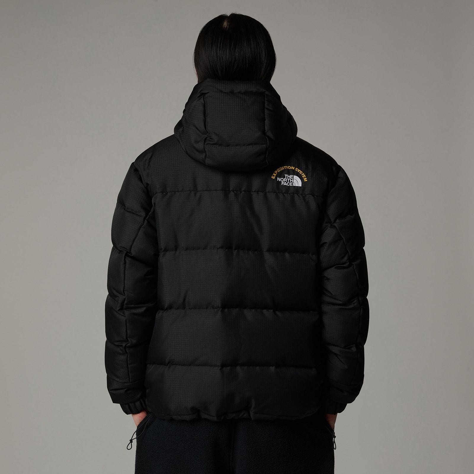 THE NORTH FACE TNF MOVE WHEELER （NOBL20） The North Face ALL WEATHER WHEELER UNISEX - Troller - tnf