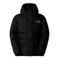 Geaca Femei The North Face W Hmlyn 30 Anniversary Parka