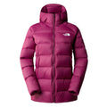 Geaca Femei The North Face W Hyalite Down Parka