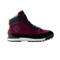 Ghete Barbati The North Face M Back-to-berkeley Iv Textile Wp