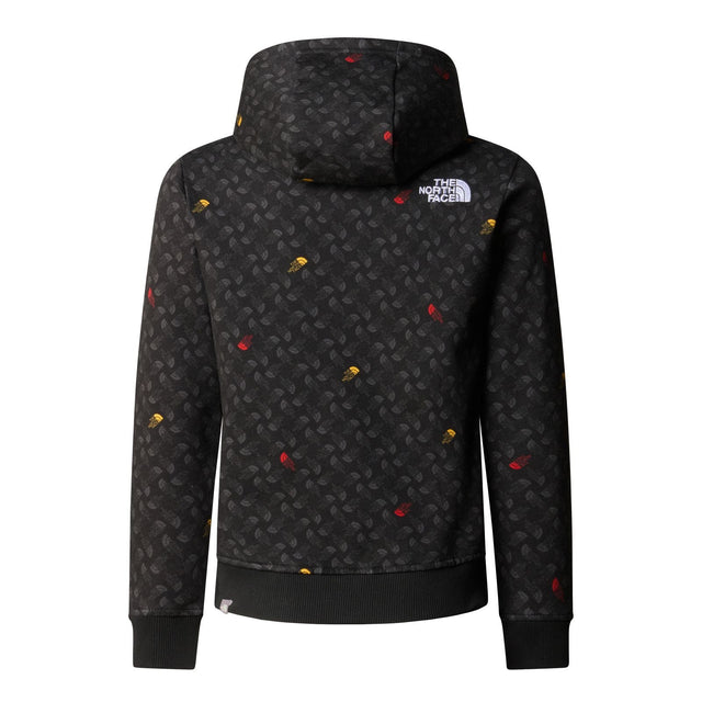Hanorac Baieti The North Face B Drew Peak Light P/o Print   Hanorac Baieti The North Face B Drew Peak Light P/o Print