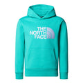Hanorac Baieti The North Face B Drew Peak P/o