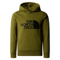 Hanorac Baieti The North Face B Drew Peak P/o