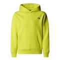 Hanorac Baieti The North Face B Graphic Relaxed Hoodie
