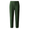 Pantaloni Barbati The North Face M 100 Glacier