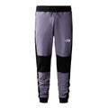 Pantaloni Barbati The North Face M Icon