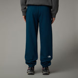 Pantaloni Barbati The North Face M Varsity Graphic