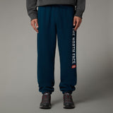Pantaloni Barbati The North Face M Varsity Graphic