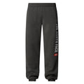 Pantaloni Barbati The North Face M Varsity Graphic