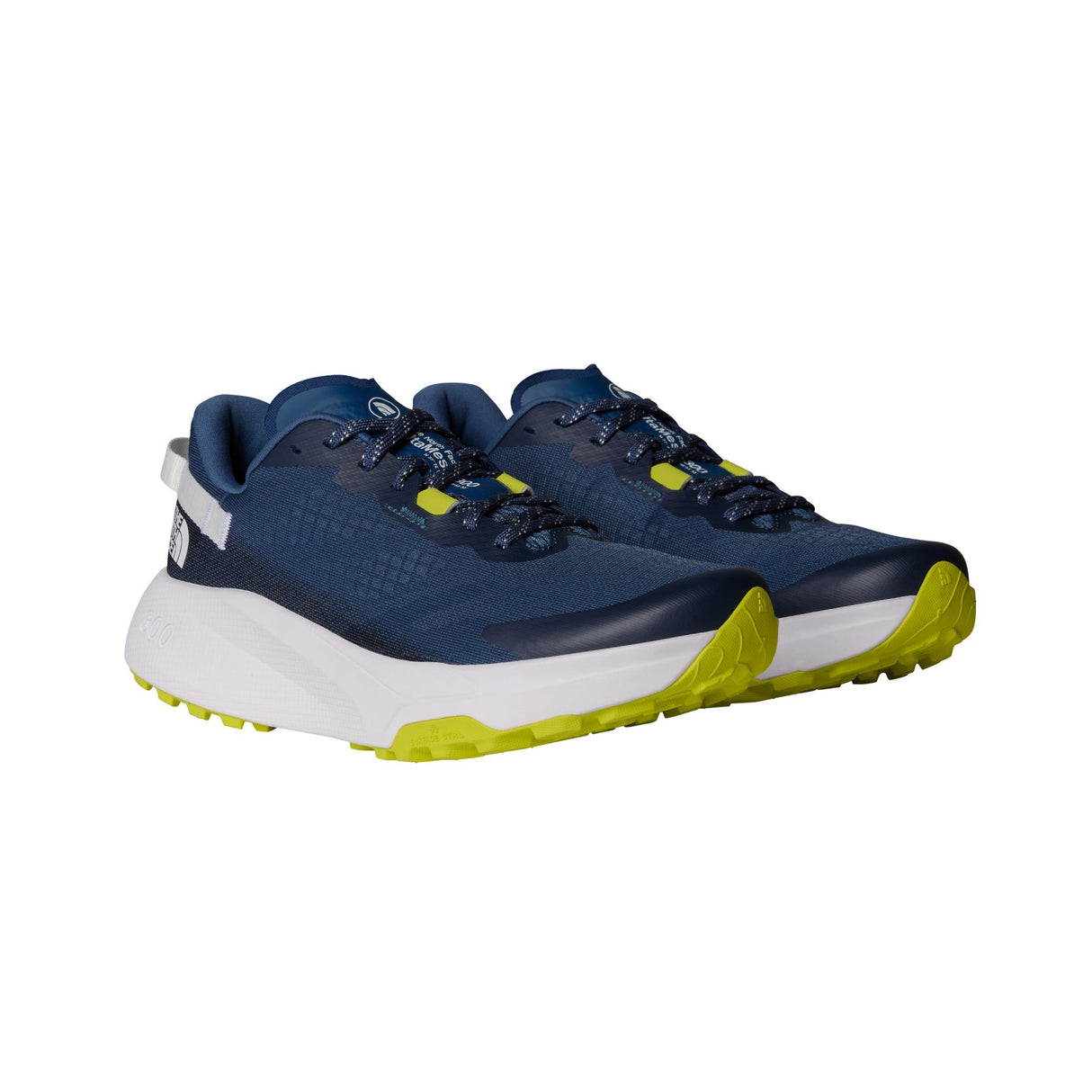 Pantofi Alergare Barbati The North Face M Altamesa 300