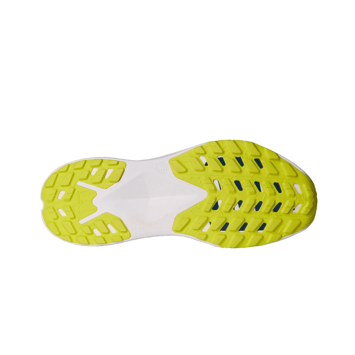 Pantofi Alergare Barbati The North Face M Altamesa 300
