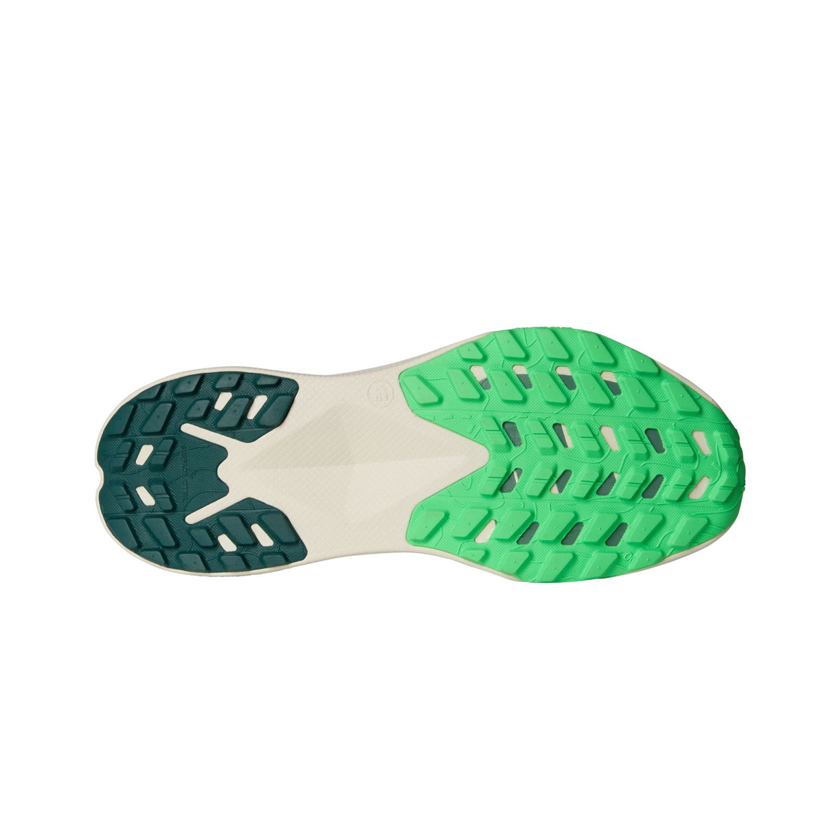 Pantofi Alergare Barbati The North Face M Altamesa 300