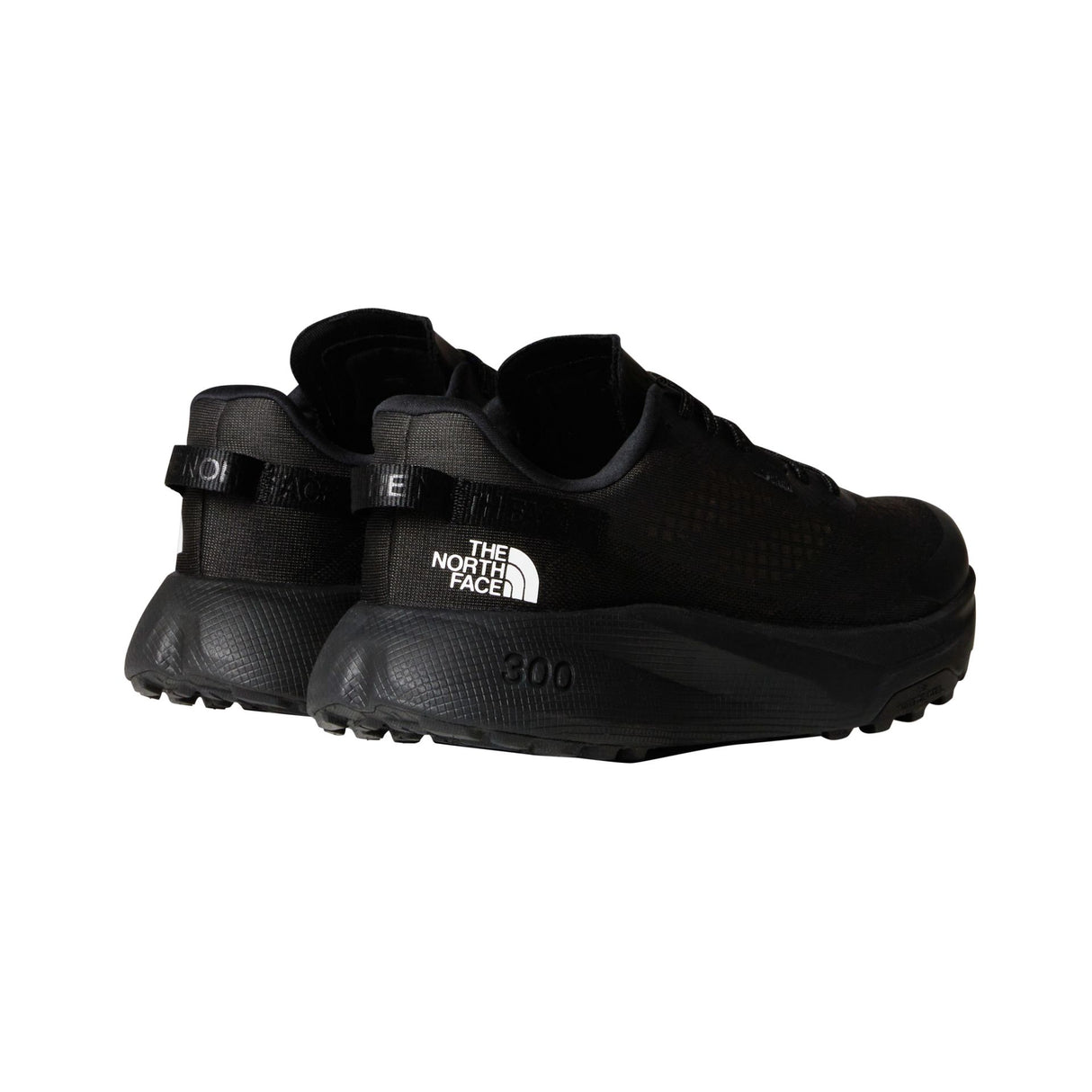 Pantofi Alergare Barbati The North Face M Altamesa 300