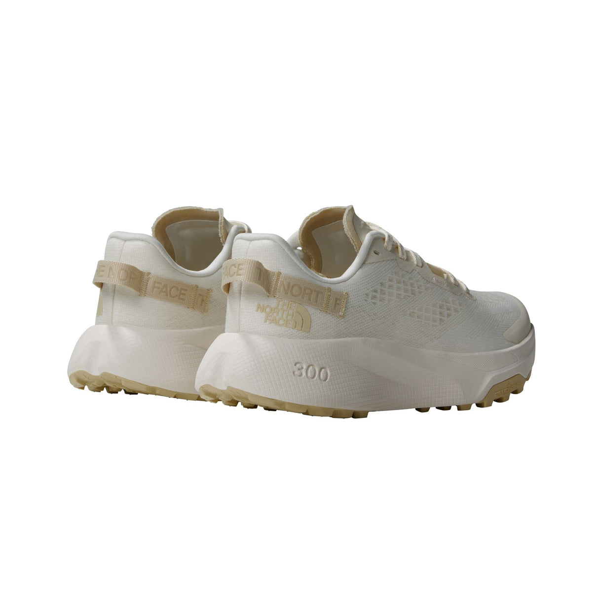 Pantofi Alergare Femei The North Face W Altamesa 300
