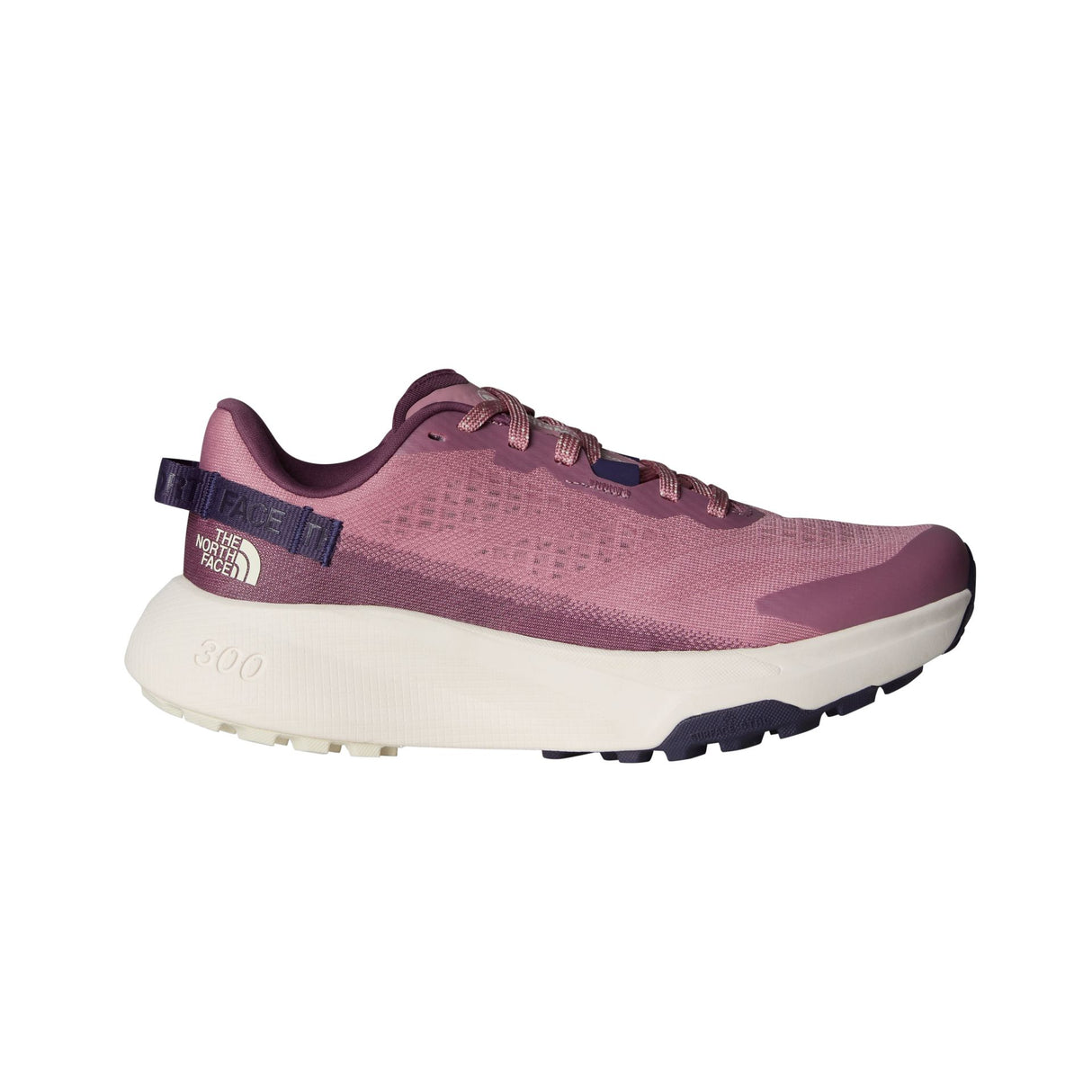 Pantofi Alergare Femei The North Face W Altamesa 300