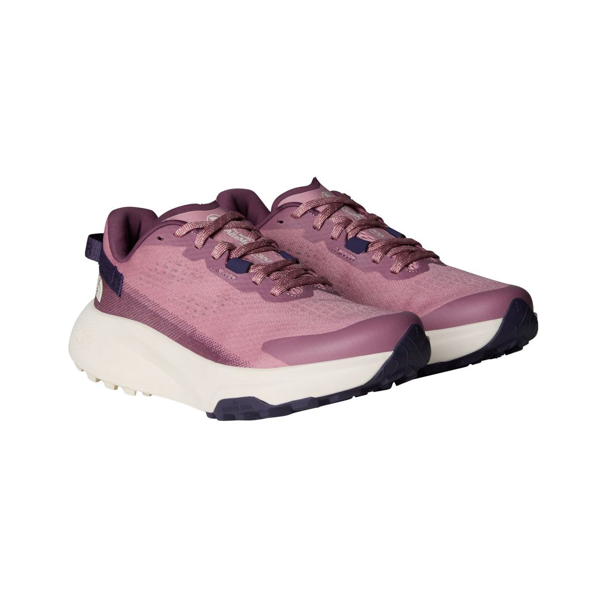 Pantofi Alergare Femei The North Face W Altamesa 300