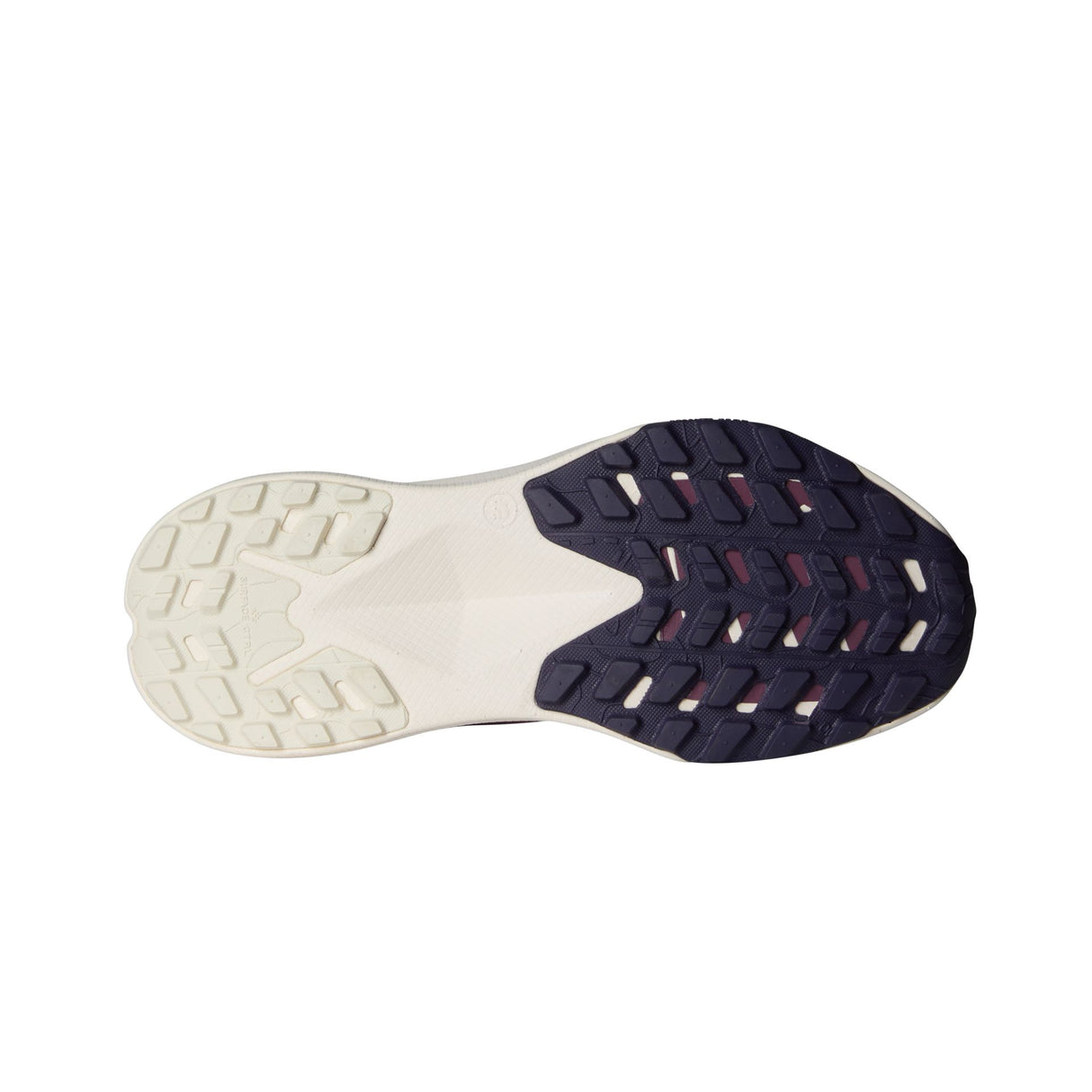 Pantofi Alergare Femei The North Face W Altamesa 300