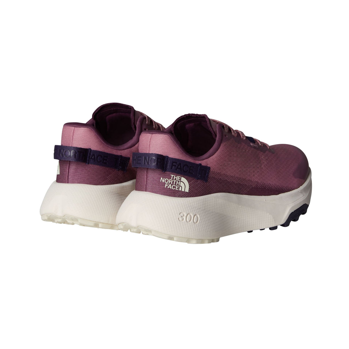 Pantofi Alergare Femei The North Face W Altamesa 300