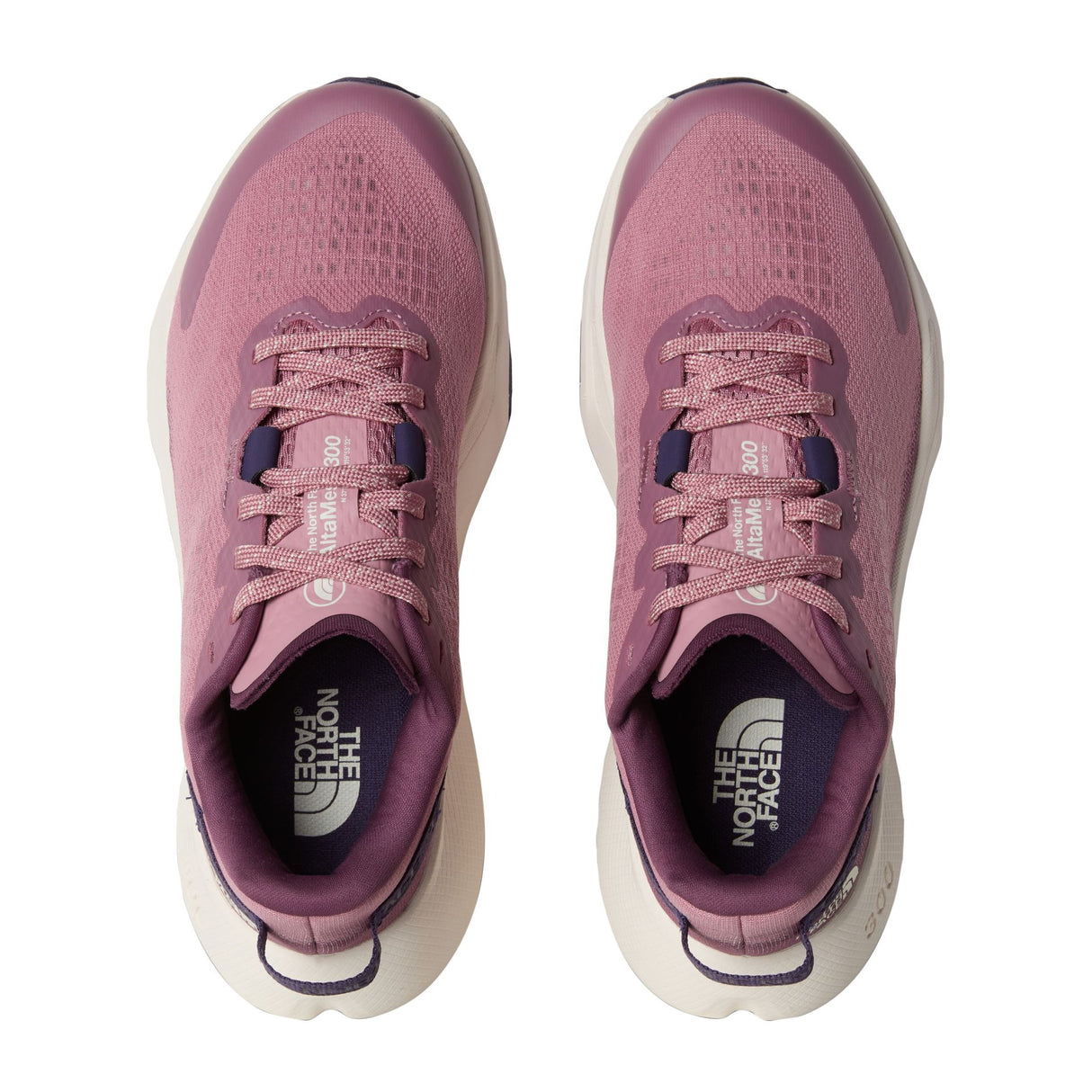 Pantofi Alergare Femei The North Face W Altamesa 300