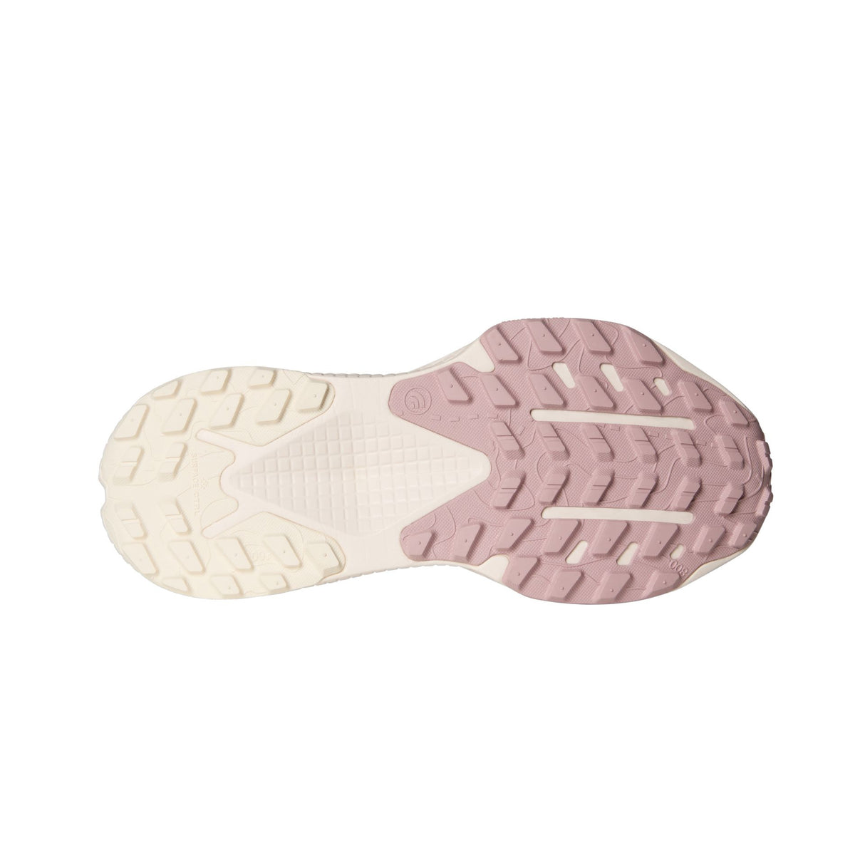 Pantofi Alergare Femei The North Face W Altamesa 500