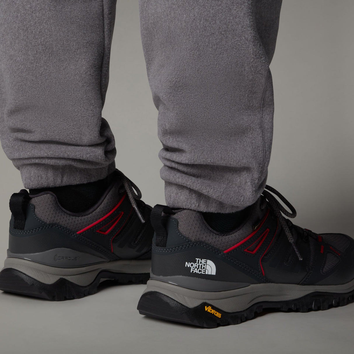 Pantofi Barbati The North Face M Hedgehog Gore-tex