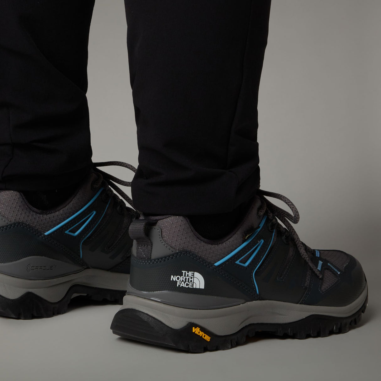 Pantofi Femei The North Face W Hedgehog Gore-tex
