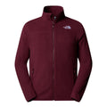 Polar Barbati The North Face M 100 Glacier Fz