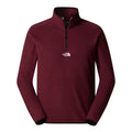 Polar Barbati The North Face M Glacier 1/4 Zip - Embroidered Logo
