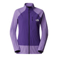 Polar Femei The North Face W Summit Futurefleece Hybrid