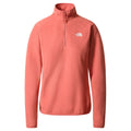 Polar The North Face W 100 Glacier 1/4 Zip