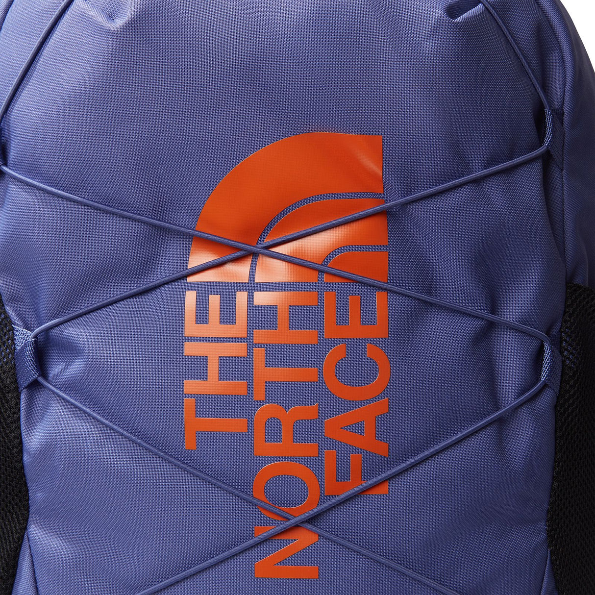 Rucsac Copii The North Face Y Court Jester
