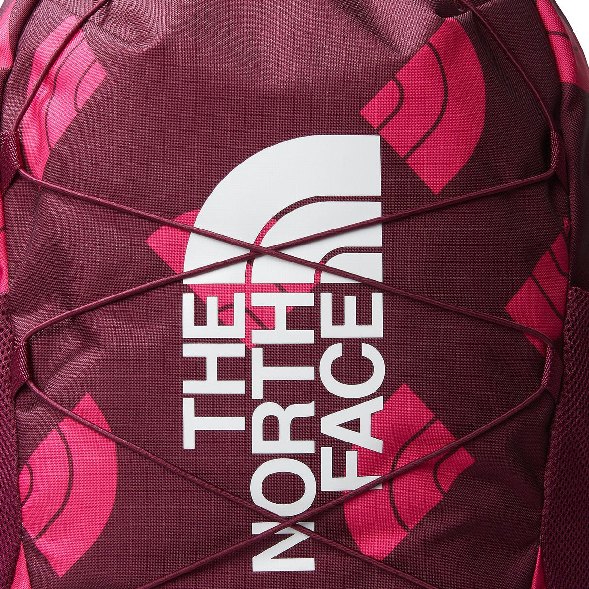 Rucsac Copii The North Face Y Court Jester