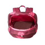 Rucsac Copii The North Face Y Court Jester