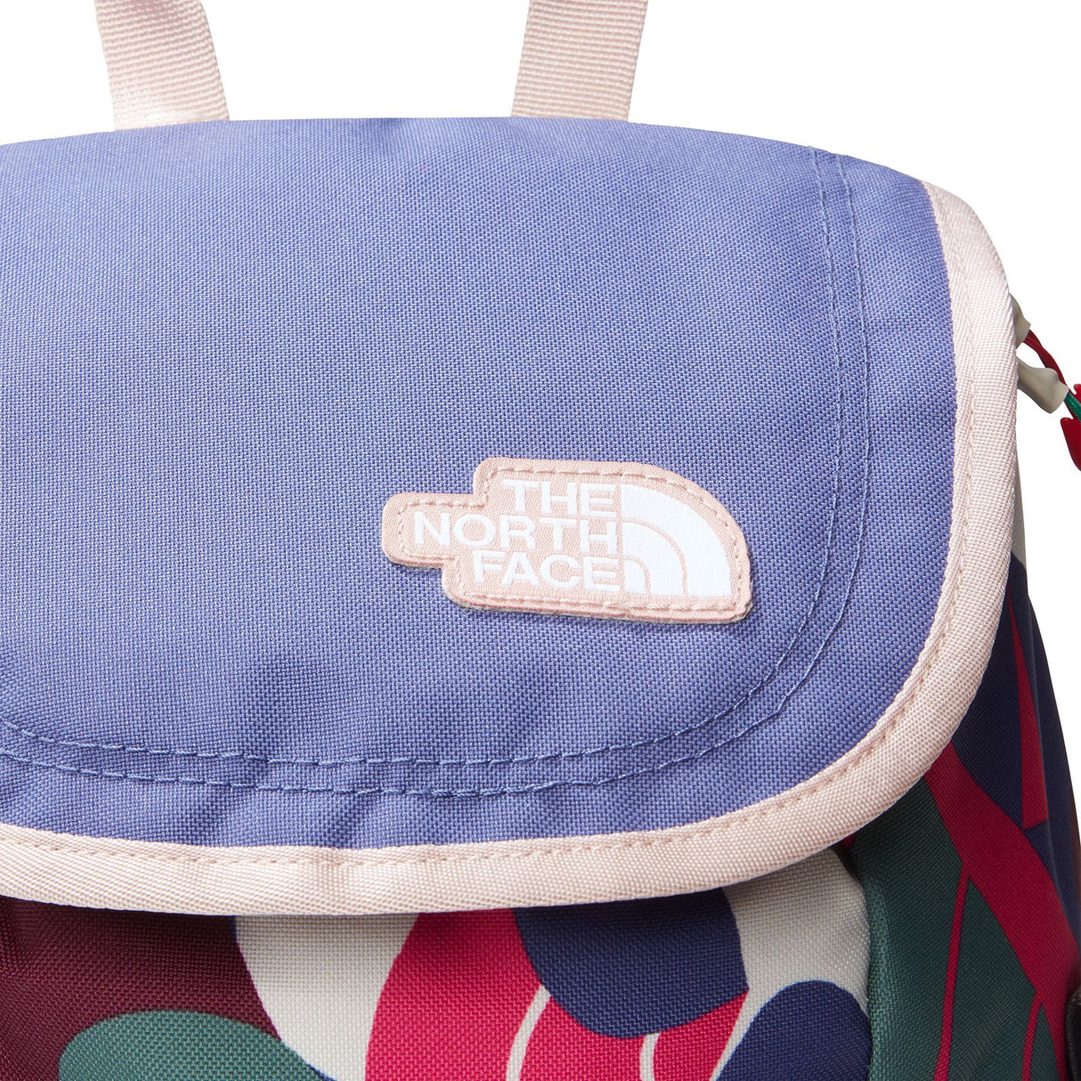 Rucsac Copii The North Face Y Mini Explorer
