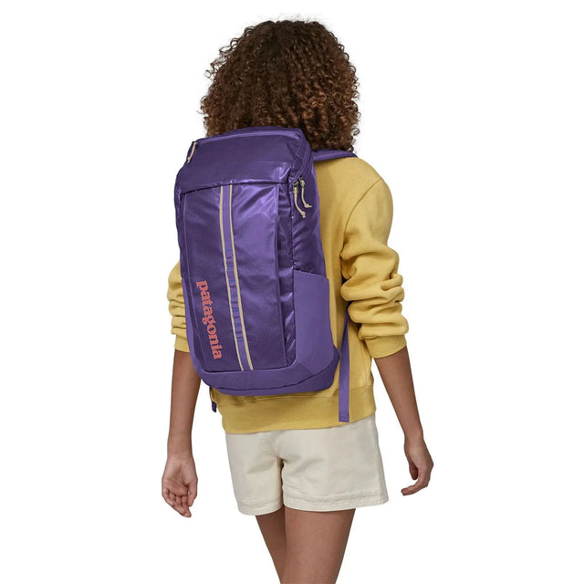 Rucsac Patagonia Black Hole Pack 25l   Rucsac Patagonia Black Hole Pack 25l