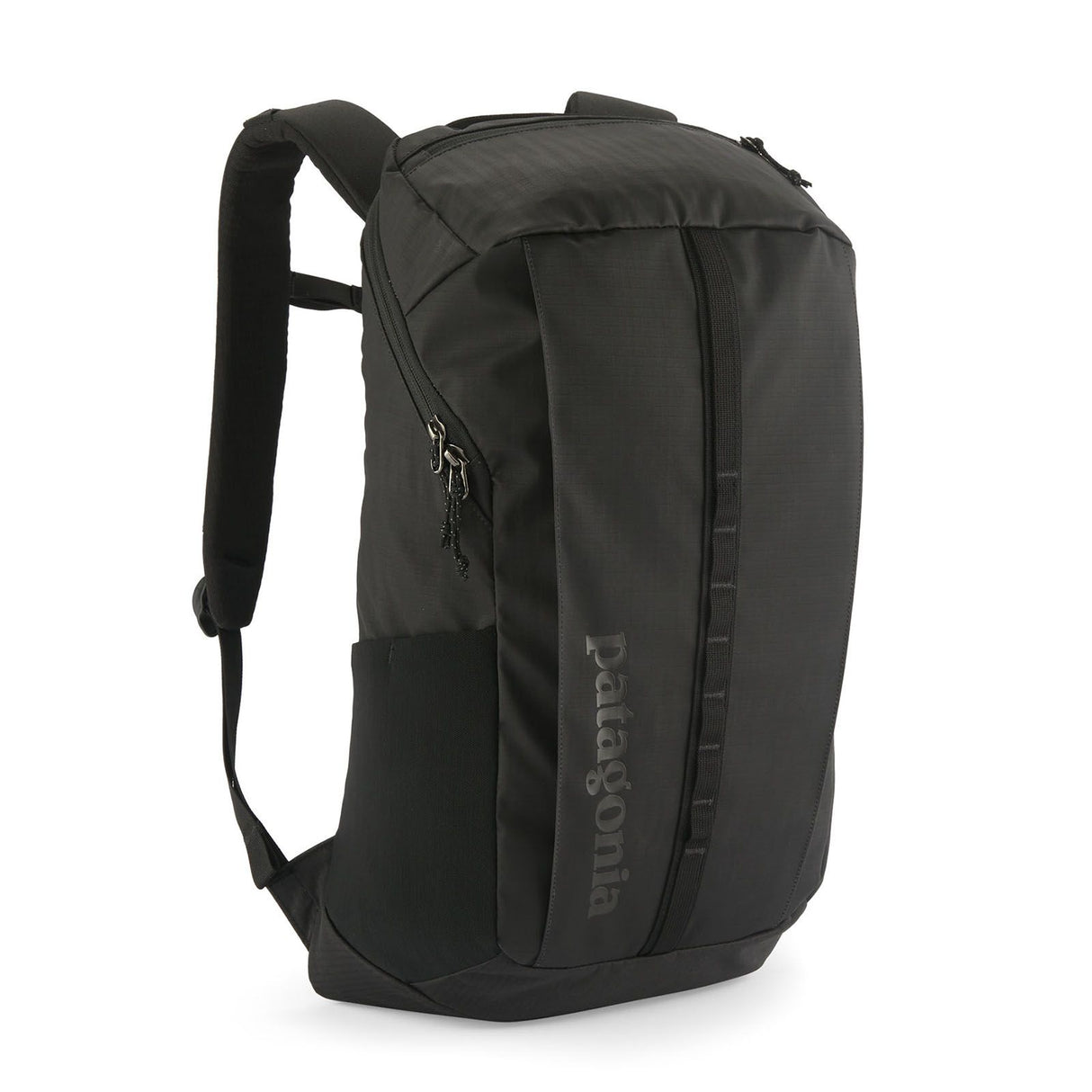 Rucsac Unisex Patagonia Black Hole 25 L
