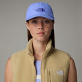 Sapca The North Face Horizon