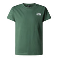 Tricou Baieti The North Face B Box Nse