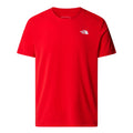 Tricou Barbati The North Face M Lightning Alpine