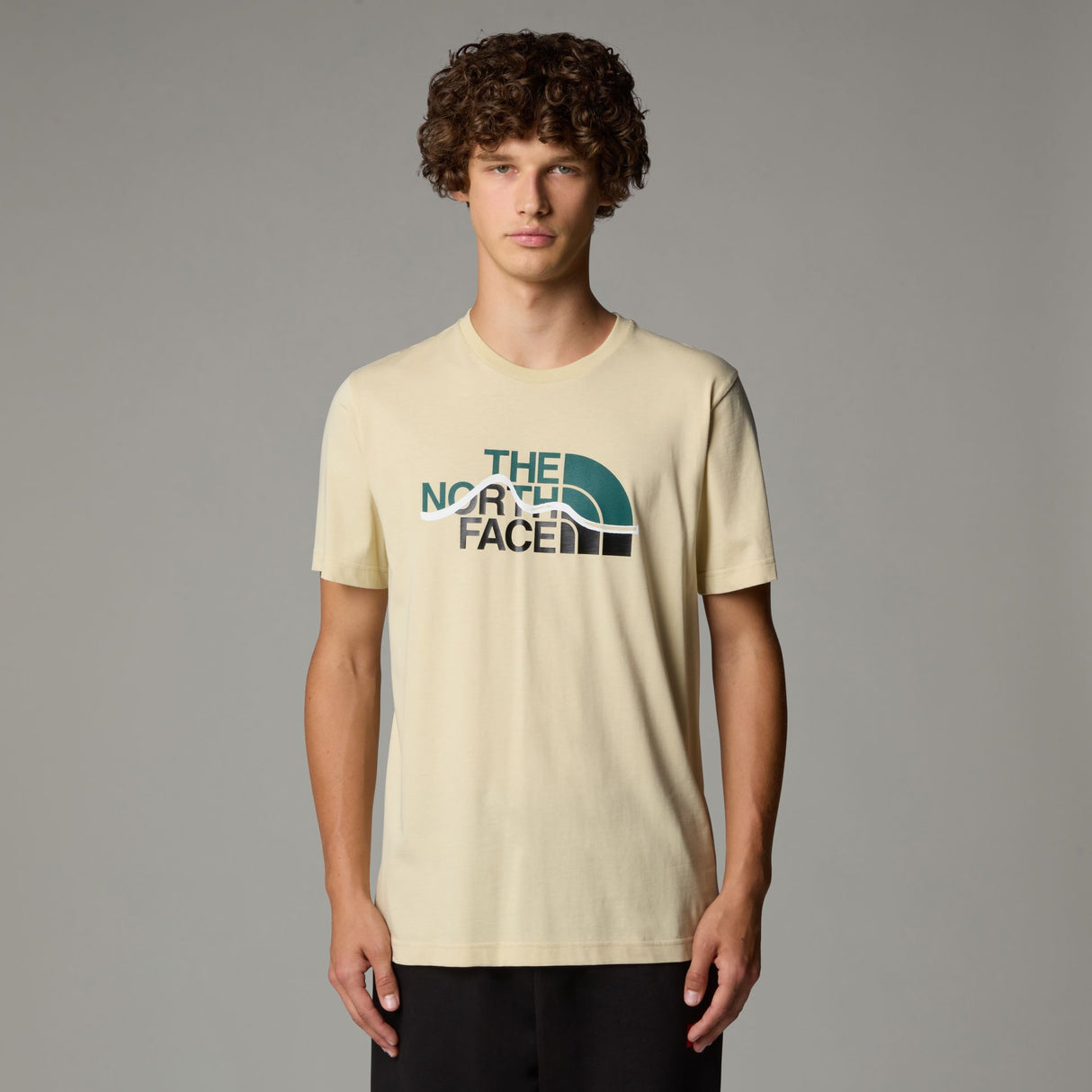 Tricou Barbati The North Face M Mountain Line