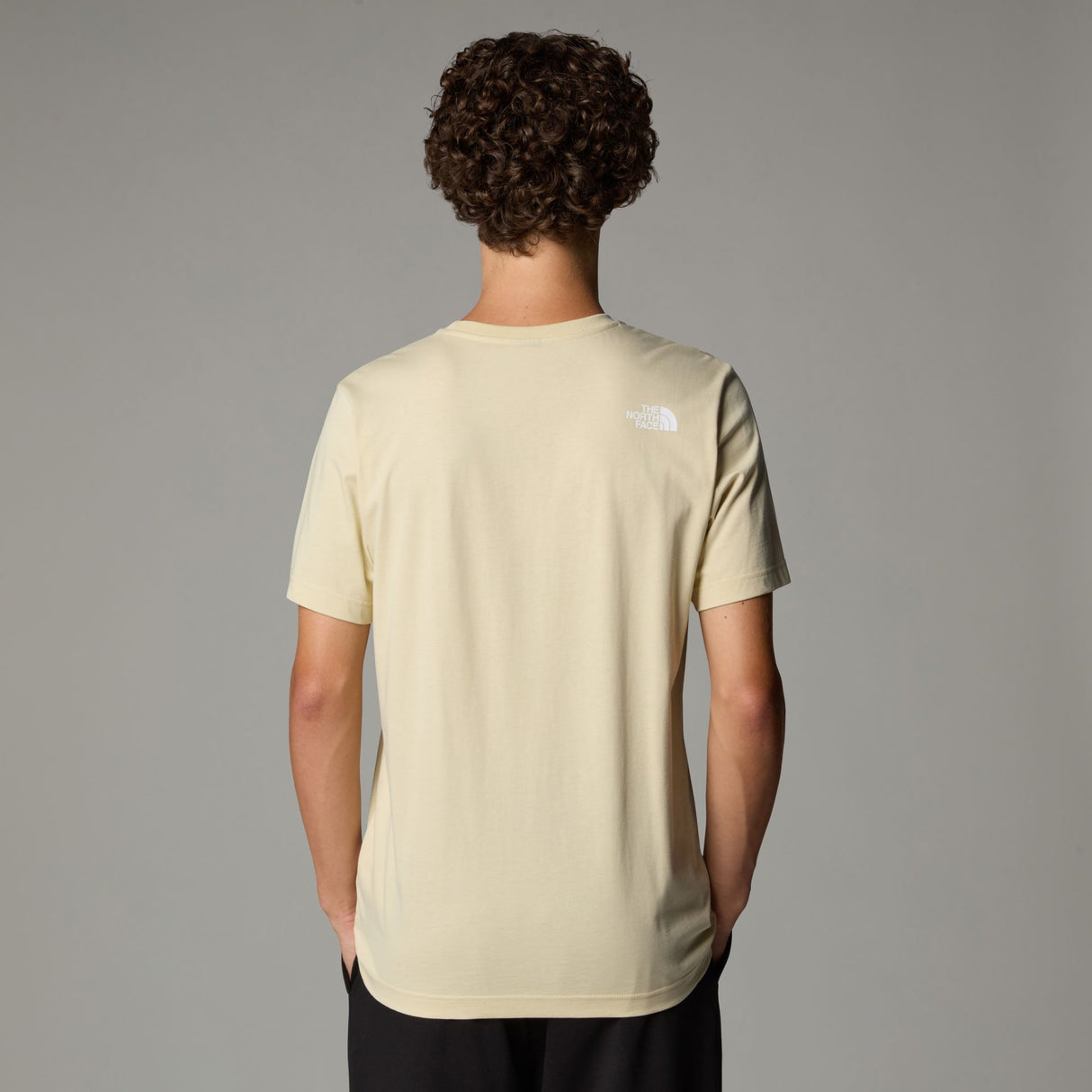 Tricou Barbati The North Face M Mountain Line