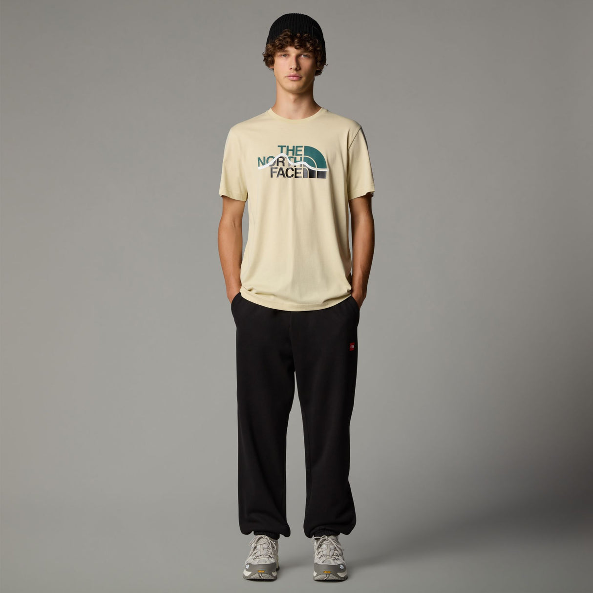 Tricou Barbati The North Face M Mountain Line